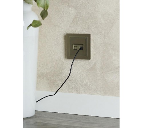 BRITE Розетка компьютерная 2-ая RJ45 кат.5E РК10-2-БрШ шампань  BR-K20-1-K37  IEK