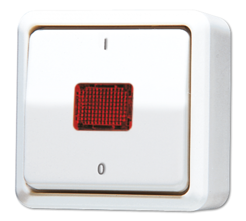 Выключатель контрольный 10 AX 250 V ~ для накладного монтажа 602KOAWW Jung