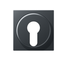 накладка для выключателя с замком  A528PLANM  Jung