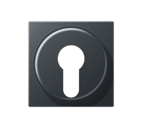 накладка для выключателя с замком  A528PLANM  Jung
