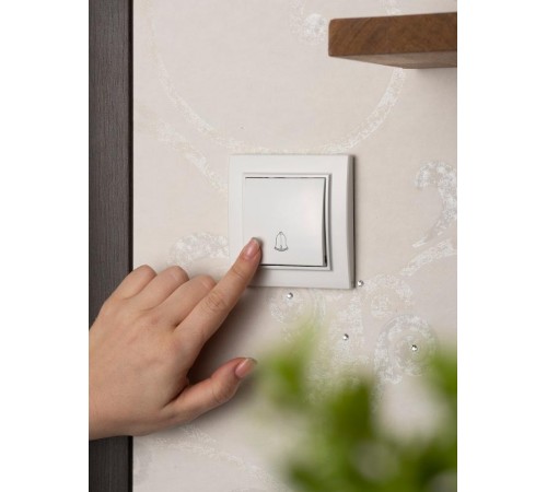 Кнопка звонка  СП, Минск, 10А, белый EKF  ERV10-026-10  EKF