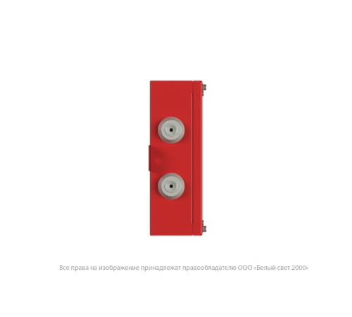 Указатель аварийный светодиодный BS-CANRON-71-S1-INEXI2 11,4Вт 1ч постоянный накладной IP65  a15569  Белый свет