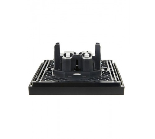 FORTE&PIANO Розетка 2-я без заземления, со шторками безвинтовое крепление 10А FP125 черный  FP-R23-10-1-K02  IEK