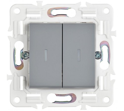 SKANDY Выключатель 2-клавишный с индикацией 10А SK-V09Gr серый  SK-V20-1-10-K03  IEK