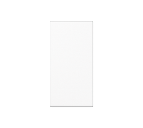 накладка белая A50NAWW Jung