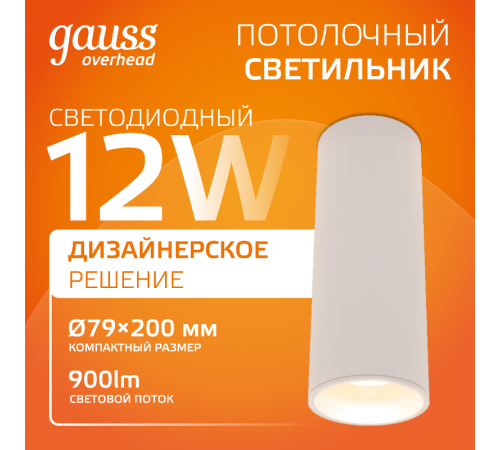 Светильник светодиодный декоративный бытовой HD012 12W (белый золото) 3000K 79x200мм  HD012  Gauss