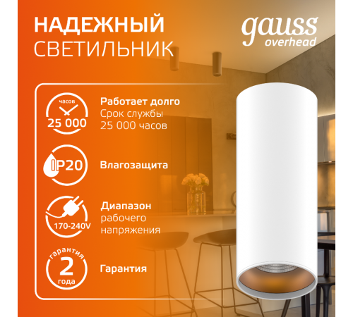 Светильник светодиодный декоративный бытовой HD012 12W (белый золото) 3000K 79x200мм  HD012  Gauss