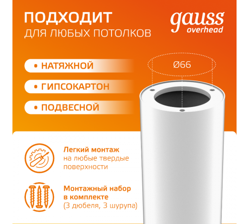 Светильник светодиодный декоративный бытовой HD012 12W (белый золото) 3000K 79x200мм  HD012  Gauss