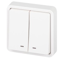 Выключатель 2-клавишный с подсветкой ЭРА Эксперт 11-1525-01 IP55, 10АХ-250В, СУ, Белый  Б0063304  ЭРА