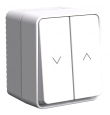 AtlasDesign Profi54 Белый О/У Выключатель 2-клавишный для Жалюзи, 2хсх.4  ATN540119  SE
