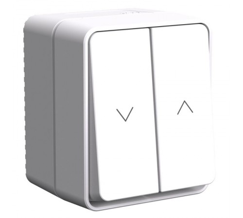 AtlasDesign Profi54 Белый О/У Выключатель 2-клавишный для Жалюзи, 2хсх.4  ATN540119  SE