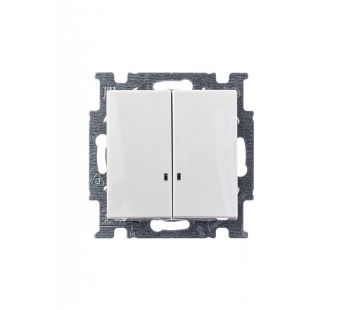 ABB Basic 55 Альп. белый Выключатель 2-клавишный с подсветкой  1012-0-2154   2CKA001012A2154  ABB