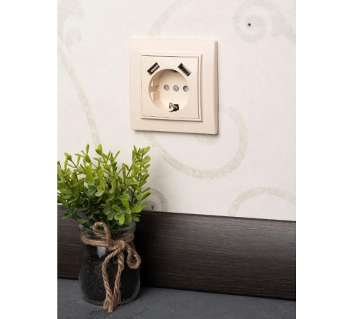 Минск Розетка 1-местная СП с/з 16А бежевая с защ. штор. с 2 USB 2,1А  ERR16-028-200-2USB  EKF