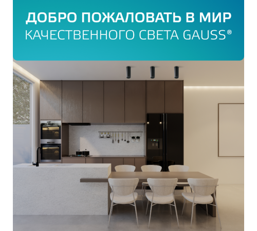 Светильник  Basic, накладной, под лампу GU10, белый 1/20/60  HD060  Gauss