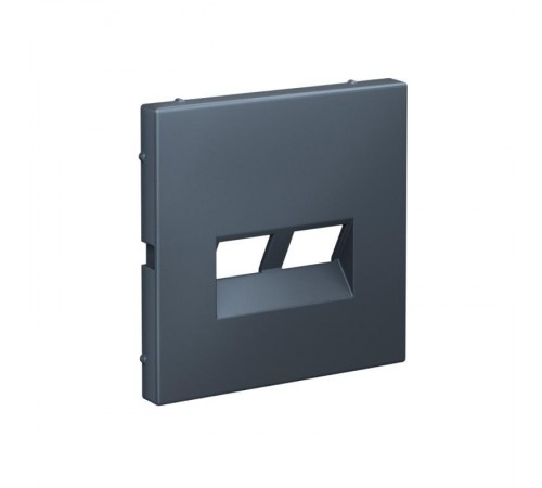 ArtGallery Грифель Накладка двойная для информационных функций типа Keystone  GAL000790  SE