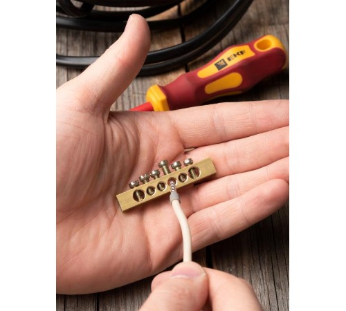 Шина PEN "ноль-земля" (6х9мм) 6 отверстий латунь крепеж по краям EKF PROxima  sn0-63-06-k  EKF