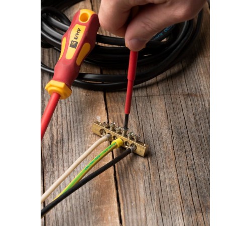 Шина PEN "ноль-земля" (6х9мм) 6 отверстий латунь крепеж по краям EKF PROxima  sn0-63-06-k  EKF