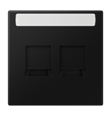 Плата (фиксация защёлкиванием) для двух модулей с полем для надписи; термопласт; черный матовый  LS1969-25NAWESWM  Jung