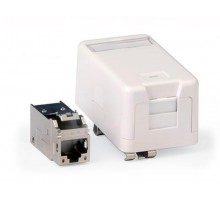 Инф розетка на DIN рейку CAT6A Keystone  RNK6AFSDIN  DKC