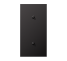 Центральная плата, 2 поста, для вертикальной установки, тумблеры 1+1,цилиндр; металлическое исполнение; Dark; серия LS  AL12-20DR01  Jung