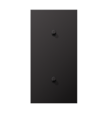 Центральная плата, 2 поста, для вертикальной установки, тумблеры 1+1,цилиндр; металлическое исполнение; Dark; серия LS  AL12-20DR01  Jung