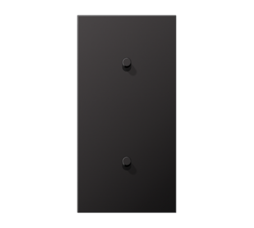 Центральная плата, 2 поста, для вертикальной установки, тумблеры 1+1,цилиндр; металлическое исполнение; Dark; серия LS  AL12-20DR01  Jung