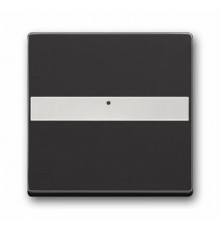 Клав. с полем для надписи, со световодом, для выкл./перекл./кнопок, серия solo/future, цвет антрацит  1731-0-1552   2CKA001731A1552  ABB