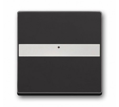 Клав. с полем для надписи, со световодом, для выкл./перекл./кнопок, серия solo/future, цвет антрацит  1731-0-1552   2CKA001731A1552  ABB