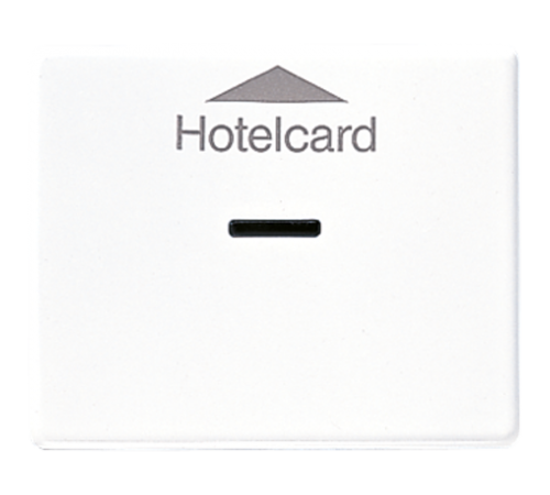 Накладка карточного выключателя; белая SL590CARDWW Jung