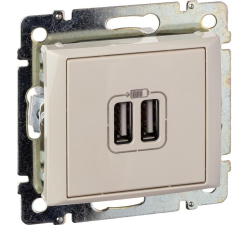 Valena Сл. кость Розетка 2-ая USB  774170  Legrand