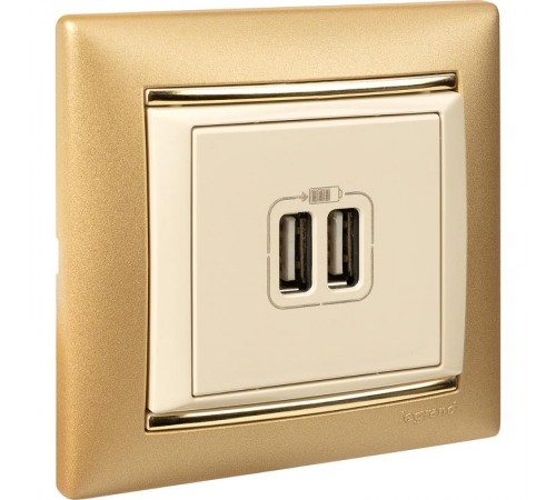 Valena Сл. кость Розетка 2-ая USB  774170  Legrand