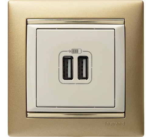 Valena Сл. кость Розетка 2-ая USB  774170  Legrand