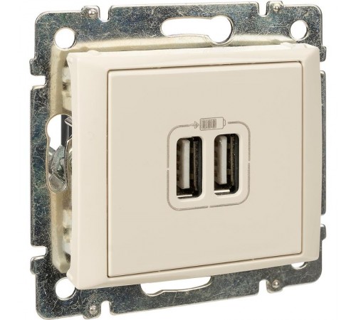 Valena Сл. кость Розетка 2-ая USB  774170  Legrand