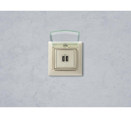 Valena Сл. кость Розетка 2-ая USB  774170  Legrand