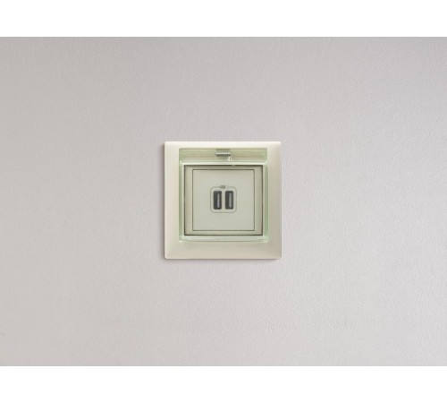 Valena Сл. кость Розетка 2-ая USB  774170  Legrand