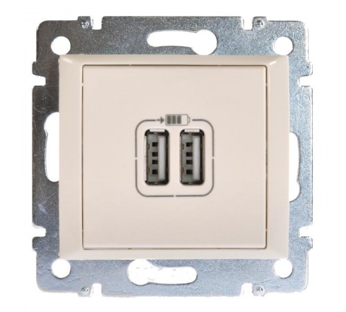 Valena Сл. Кость DIY Зарядное устройство USB тип А / тип А 3000мА 15Вт  694372  Legrand