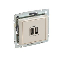 Valena Сл. кость Розетка 2-ая USB  774170  Legrand