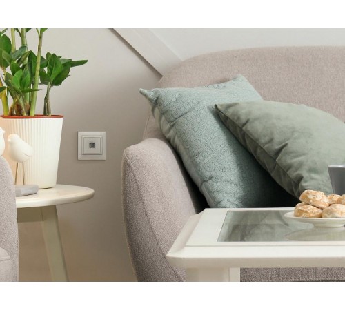 Valena Сл. кость Розетка 2-ая USB  774170  Legrand