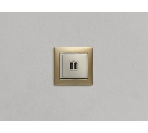 Valena Сл. кость Розетка 2-ая USB  774170  Legrand