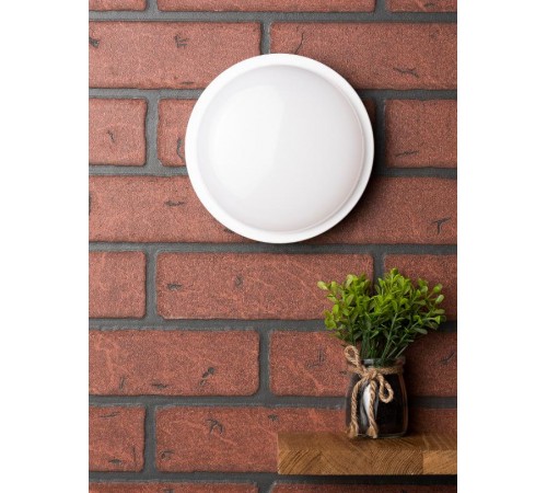 Светильник светодиодный ЖКХ круг ДПО-2003 15Вт 4000K IP65  EKF PROxima  BKL-2003-R-15-4000  EKF