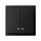 ArtGallery Карбон Выключатель 2-клавишный с подсветкой, сх.5а, 10АХ, механизм  GAL001053  SE