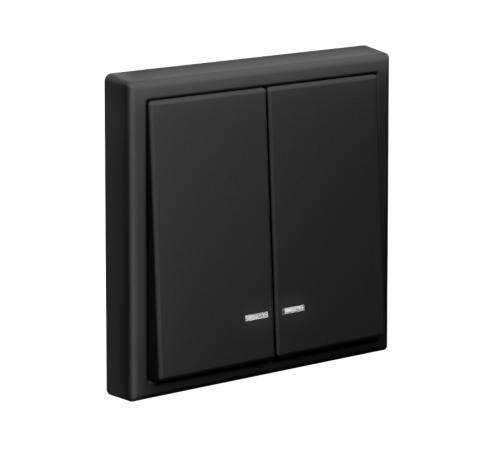 ArtGallery Карбон Выключатель 2-клавишный с подсветкой, сх.5а, 10АХ, механизм  GAL001053  SE