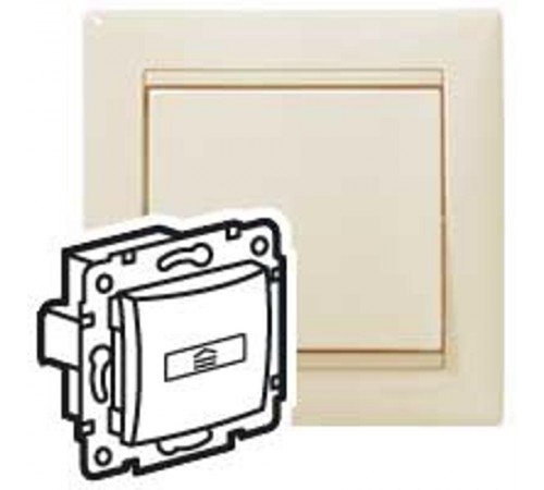 Valena Сл. кость Выключатель карточный с таймером  774134  Legrand