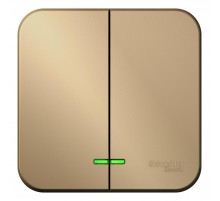 Blanca Титан О/У Выключатель 2-клавишный с подсветкой, 10А, 250B  BLNVA105104  SE