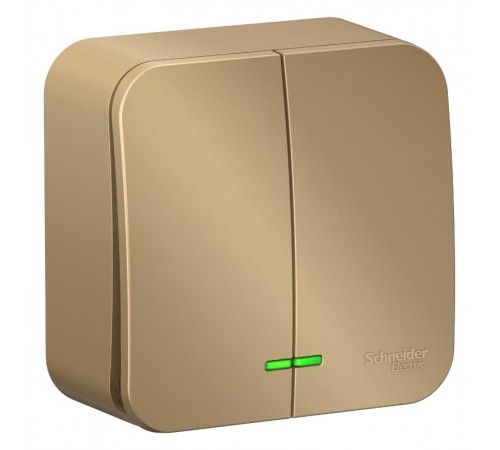 Blanca Титан О/У Выключатель 2-клавишный с подсветкой, 10А, 250B  BLNVA105104  SE