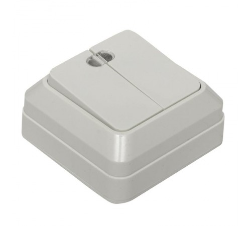 Рим Выключатель 2-клавишный с индикатором 10А белый EKF  ENV10-123-10  EKF