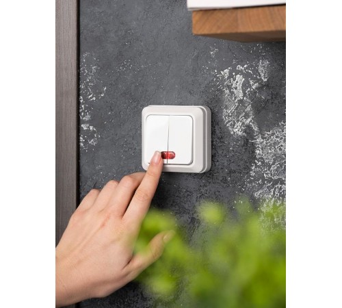 Рим Выключатель 2-клавишный с индикатором 10А белый EKF  ENV10-123-10  EKF