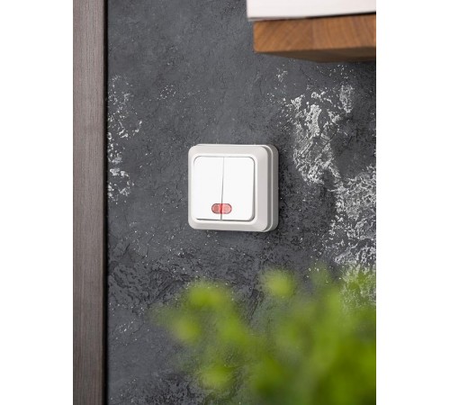 Рим Выключатель 2-клавишный с индикатором 10А белый EKF  ENV10-123-10  EKF