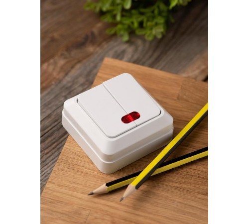 Рим Выключатель 2-клавишный с индикатором 10А белый EKF  ENV10-123-10  EKF