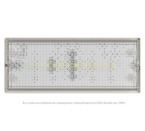 Световой указатель аварийного освещения светодиодный BS-UNIVERSAL-51-L1-INEXI2 13,4Вт 1ч IP65 универсальный накладной  a15636  Белый свет